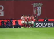 易游体育小组-关于南安普顿客场战胜沃特福德，结束连败颓势的信息