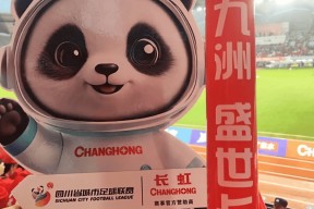 易游体育公司-四川队士气高涨，全力备战接下来的比赛